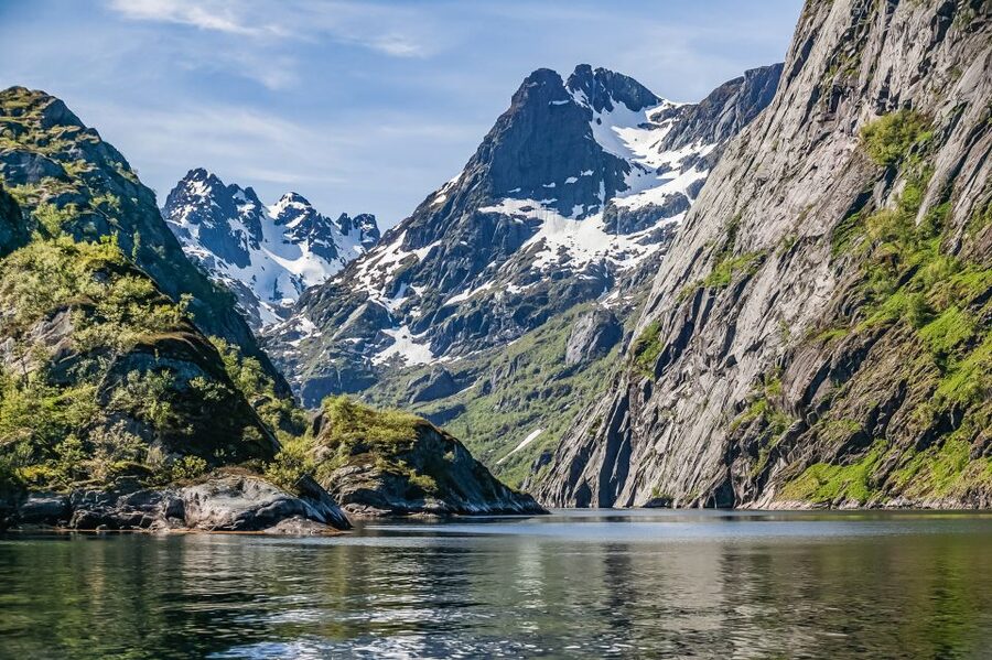 From Svolvær: Lofoten Islands Silent Trollfjord Cruise - The underwater drone and the world below
