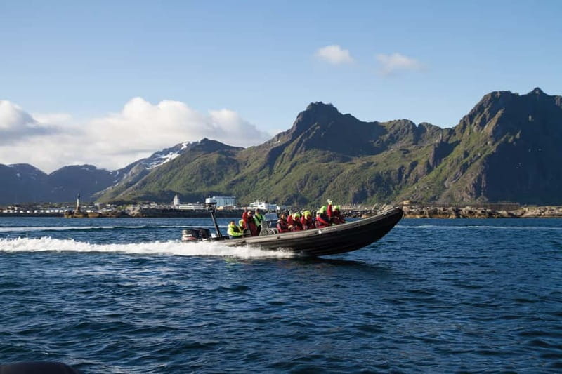 From Svolvær: Lofoten RIB Sea Eagle Safari Trollfjord Cruise - Key points to know before booking