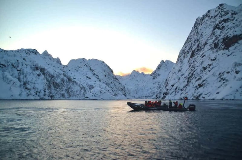 From Svolvær: Lofoten RIB Sea Eagle Safari Trollfjord Cruise - A guide-led trip with more than scenery
