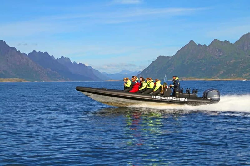 From Svolvær: Lofoten RIB Sea Eagle Safari Trollfjord Cruise - The first run across Svolvær’s coastal waters