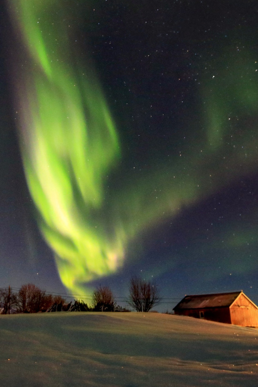 From Svolvaer: Private Northern Lights Search Trip - Key points to know before booking