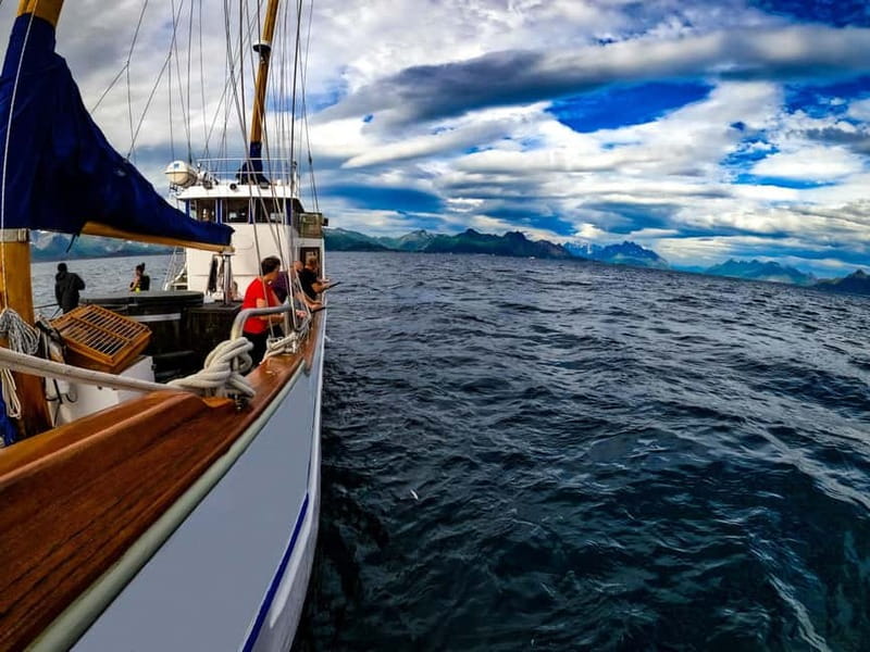 From Svolvær: Taste of Lofoten - Cultural Fishing Experience - Five details that make this Lofoten fishing trip special