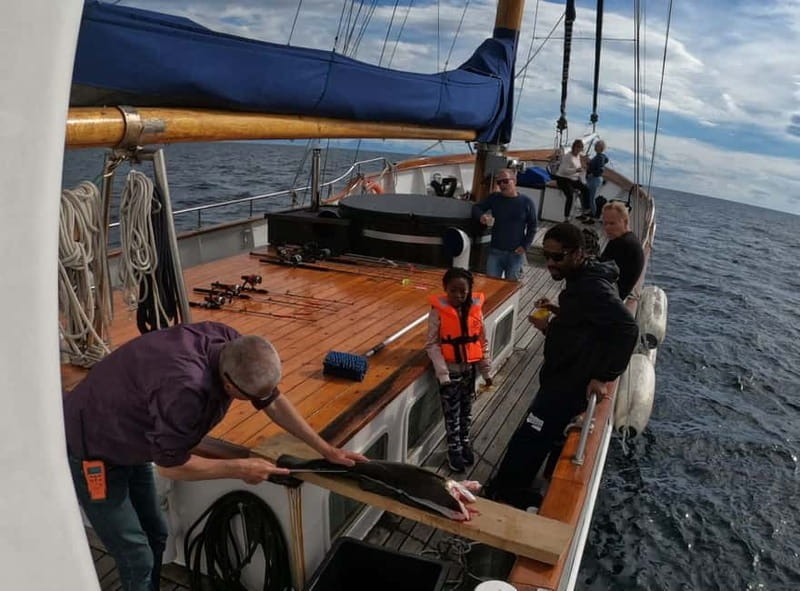 From Svolvær: Taste of Lofoten - Cultural Fishing Experience - Learning traditional fishing methods