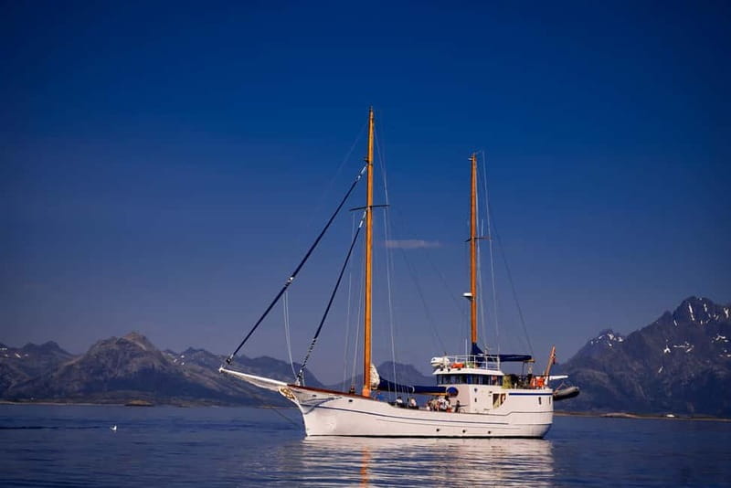 From Svolvær: Taste of Lofoten - Cultural Fishing Experience - What the three-hour itinerary feels like