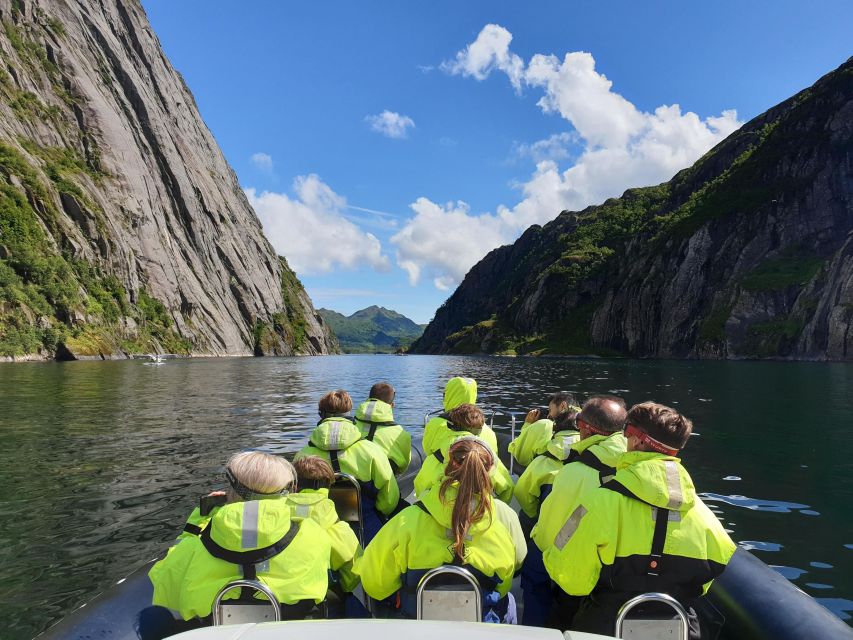 From Svolvaer: Trollfjorden Wildlife RIB Cruise - Key points before you book