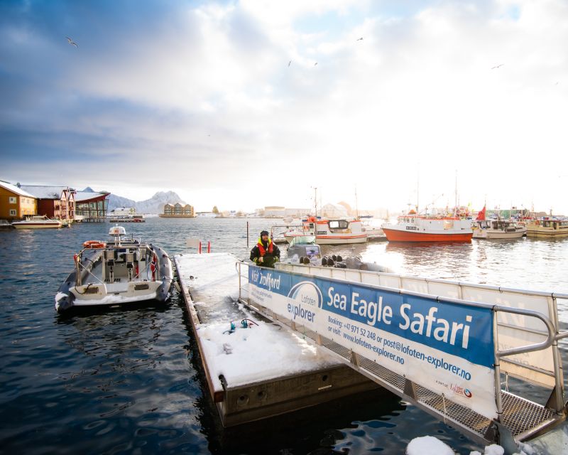 From Svolvaer: Trollfjorden Wildlife RIB Cruise - What the clothing really does in cold weather