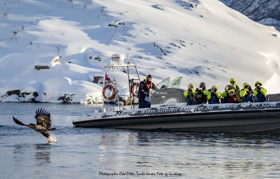 From Svolvaer: Trollfjorden Wildlife RIB Cruise - Should you book the Trollfjorden Wildlife RIB Cruise?