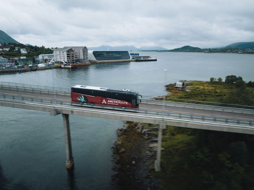 From Svolvær: Whale Watching Day Trip to Andenes - Andenes and the three-hour RIB safari