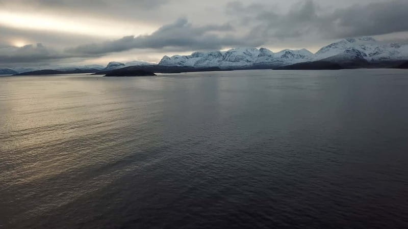 From Tromsø: All-Inclusive Whale & Orca Safari - Is $186 a good value?