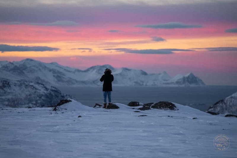 From Tromsø: Arctic Roadtrip: fjords tour with scenic picnic - What the stops feel like on foot