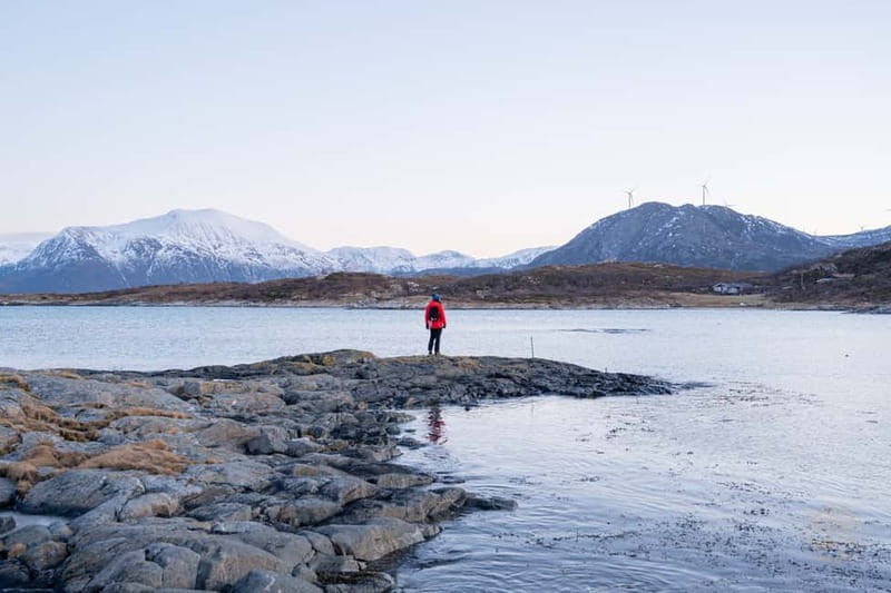 From Tromsø: Arctic Roadtrip: fjords tour with scenic picnic - Guides who shape the experience