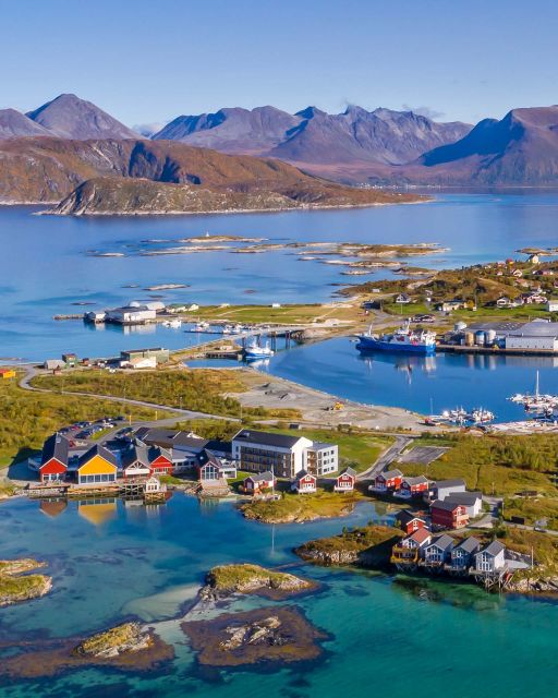 From Tromsø: Arctic Wildlife & Fjord Sightseeing Tour by Car - The return through Straumsgården and Rystraumen