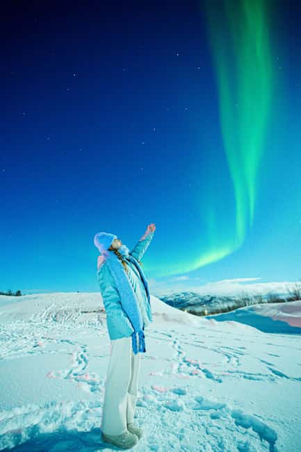 From Tromsø: Aurora Borealis Tour - Key points to know before you book