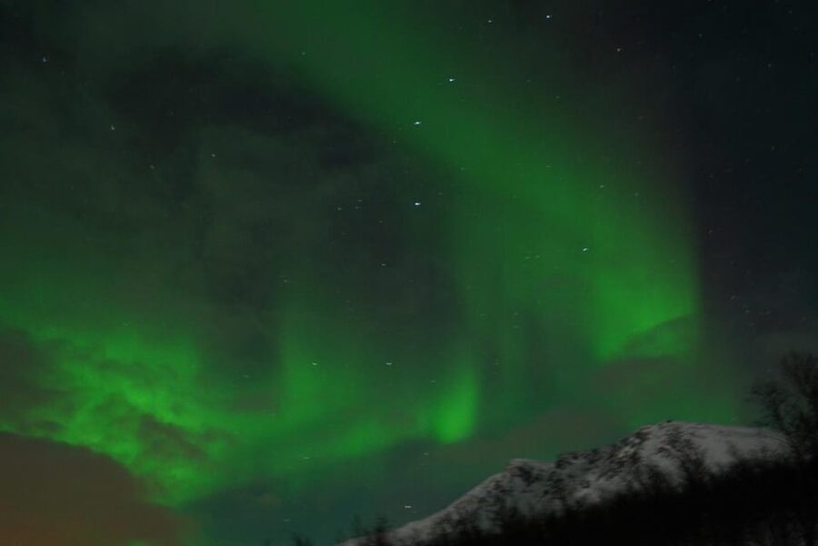 From Tromsø: Aurora Bus Tour with Snacks, Photos, and Drinks - Timing, weather, and the limits of an aurora chase