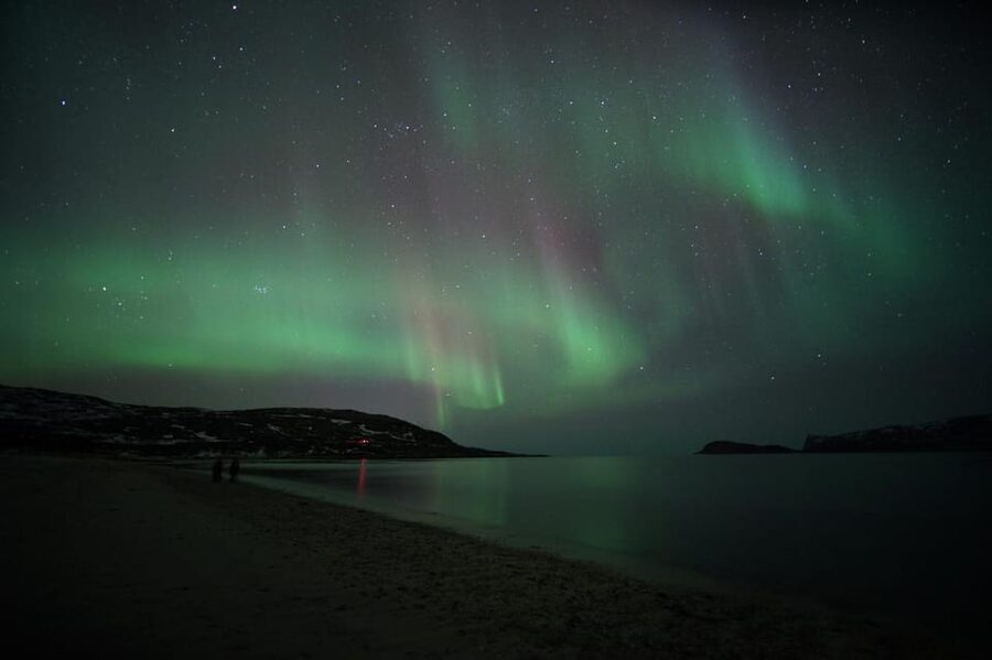 From Tromsø: Aurora Bus Tour with Snacks, Photos, and Drinks - Is $93 good value?