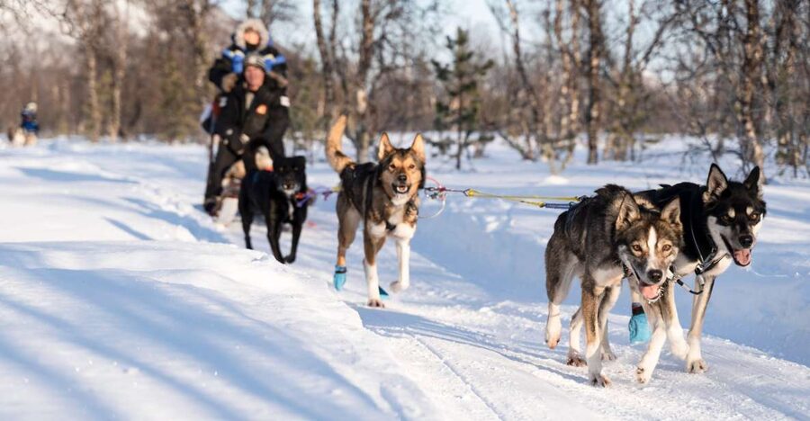 From Tromsø: Fun and Easy Dog Sledding Adventure - Getting dressed for real Arctic cold