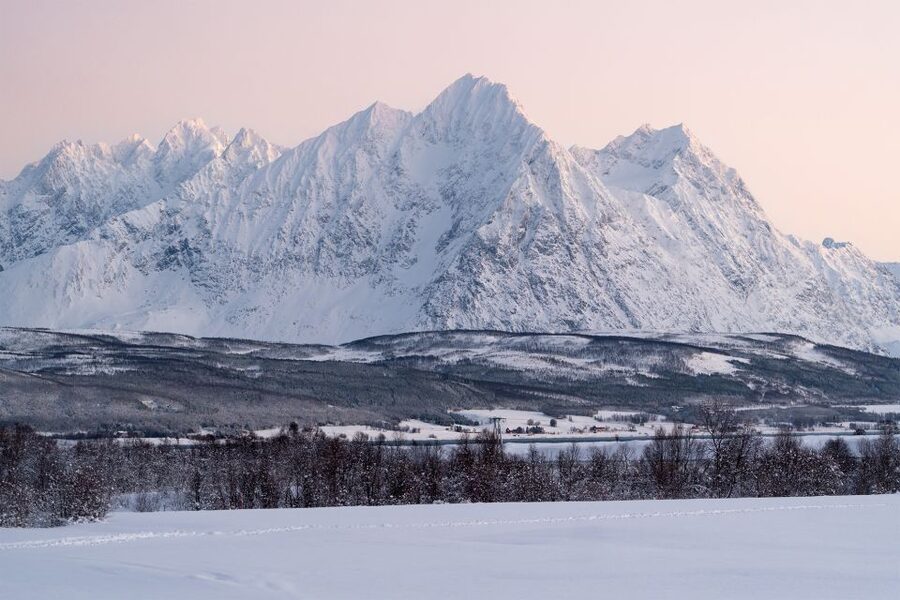 From Tromsø: Fun and Easy Dog Sledding Adventure - Who should book this dog sledding trip?