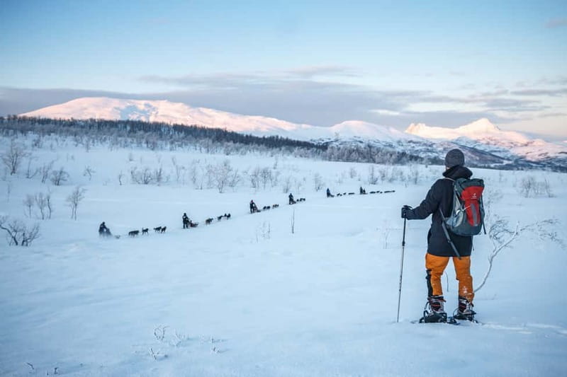 From Tromsø: Guided Husky Snowshoe Hike and Husky Camp Visit - Why this husky outing works so well