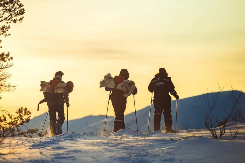 From Tromsø: Guided Husky Snowshoe Hike and Husky Camp Visit - Snowshoeing with a husky beside you