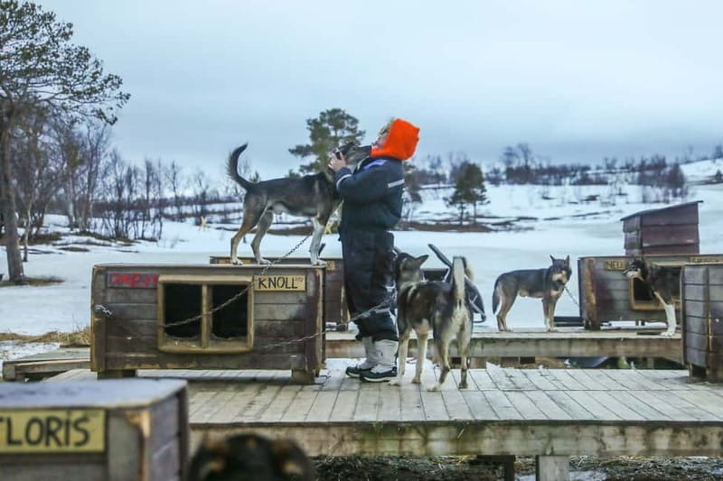 From Tromsø: Guided Husky Snowshoe Hike and Husky Camp Visit - The warm break on the trail