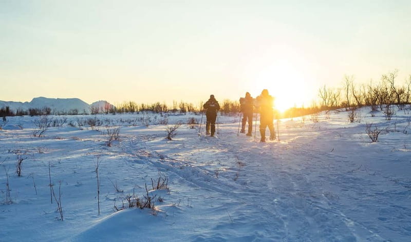 From Tromsø: Guided Husky Snowshoe Hike and Husky Camp Visit - Meeting the 200 huskies and puppies
