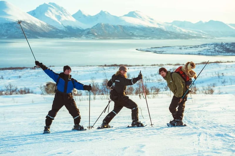 From Tromsø: Guided Husky Snowshoe Hike and Husky Camp Visit - Cake, coffee, and the camp story
