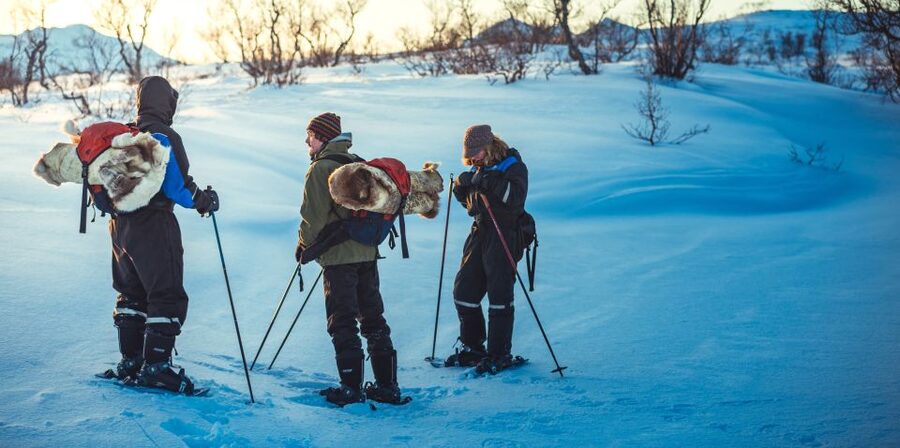 From Tromsø: Guided Husky Snowshoe Hike and Husky Camp Visit - Is $175 a fair price?