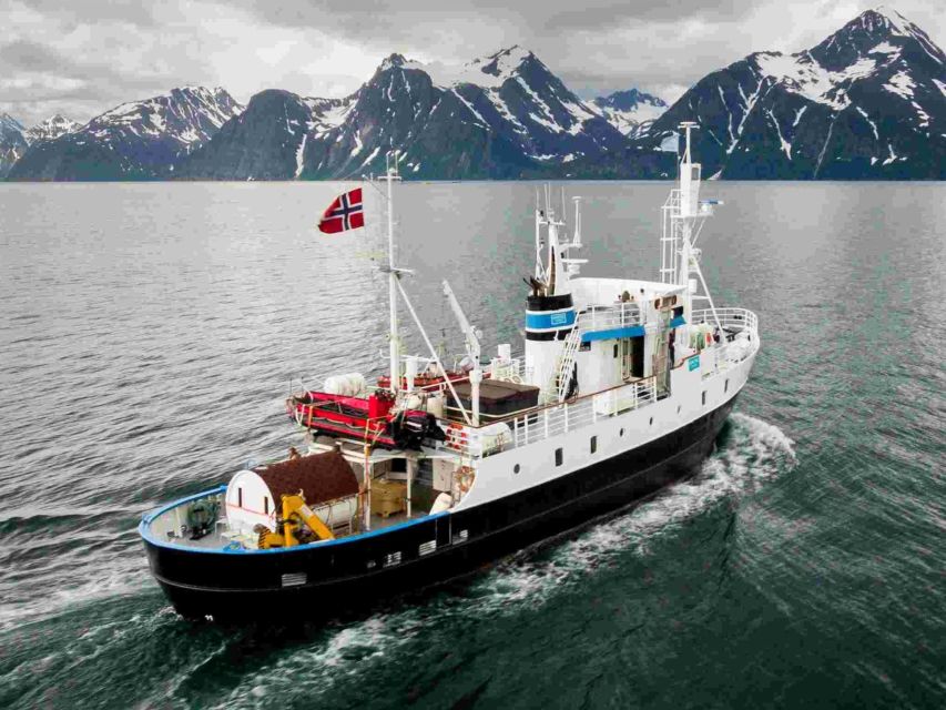From Tromsø: Northern Lights Cruise on a Cozy Vintage Vessel - Key points to know before you book