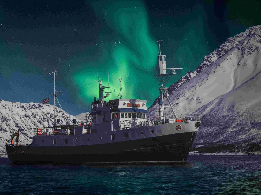 From Tromsø: Northern Lights Cruise on a Cozy Vintage Vessel - Meeting the vintage MS Strønstad at Full Steam