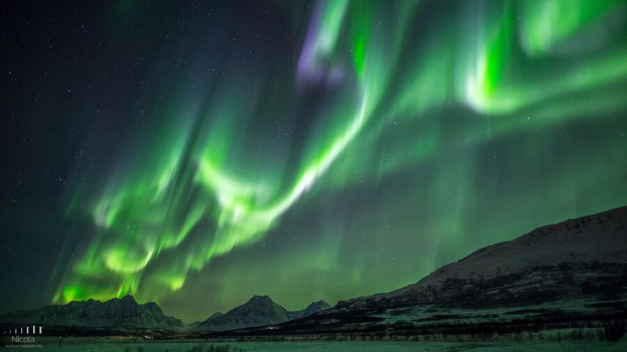 From Tromsø: Northern Lights Tour - Key points to know before booking