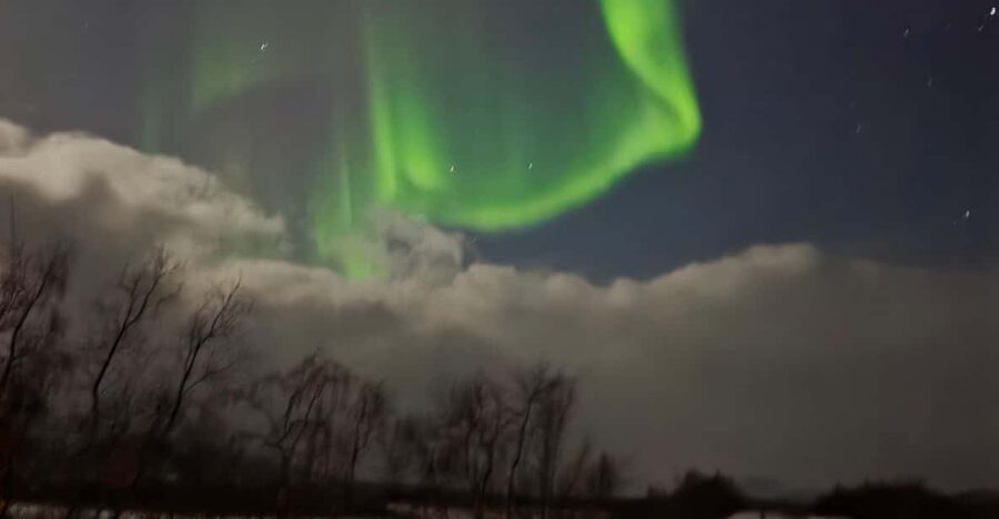 From Tromsø: Northern Lights Tour - Why this Tromsø aurora tour takes the search seriously