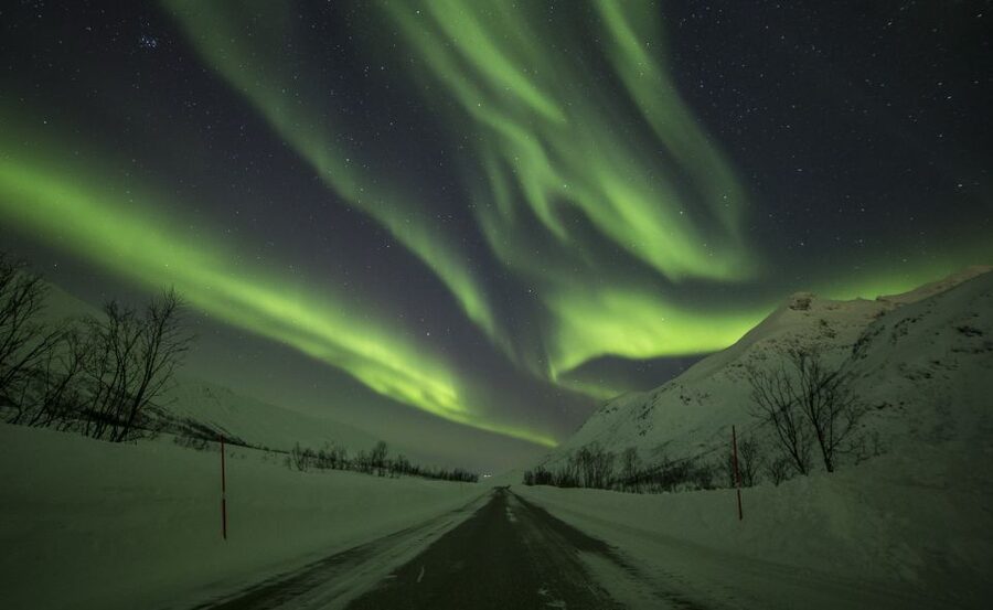 From Tromsø: Northern Lights Tour - How the guides shape the night