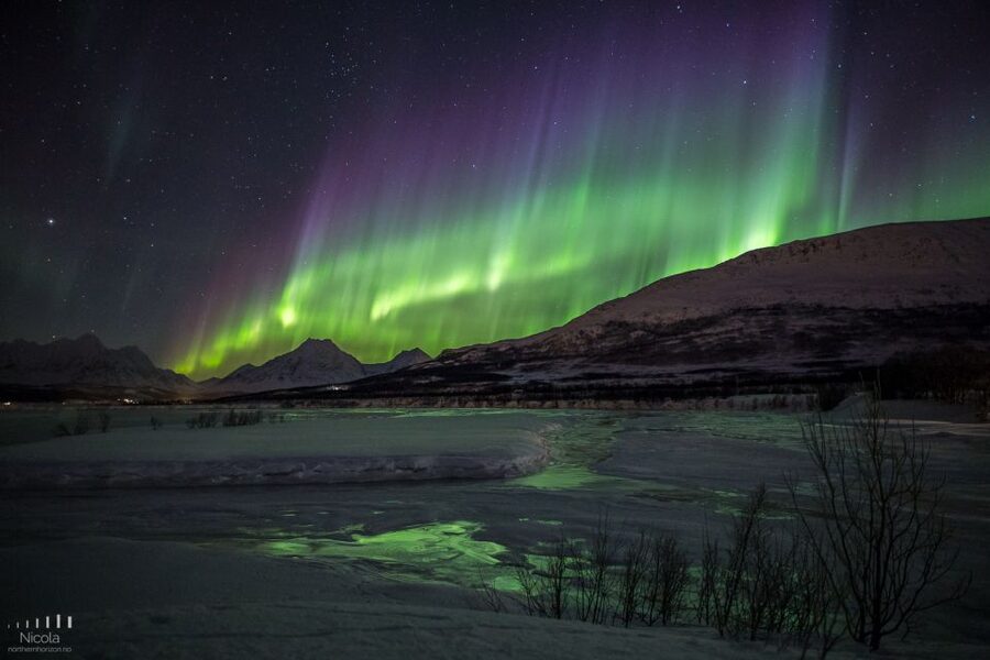 From Tromsø: Northern Lights Tour - Is the small group really an advantage?