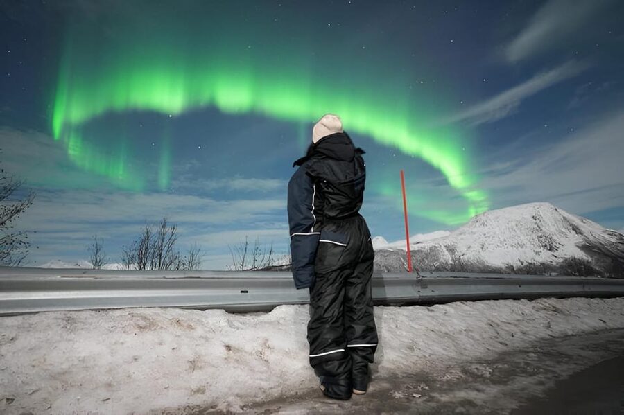 From Tromsø: Northern Lights Tour in Minibus with Photos - Meeting at the Tromsø City Library