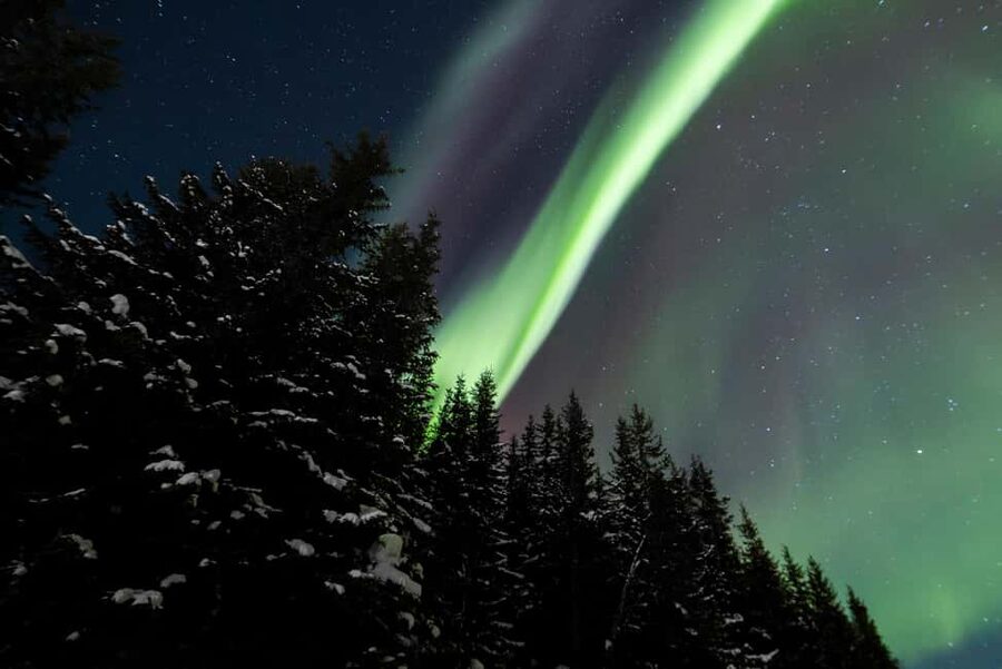 From Tromsø: Northern Lights Visit at Camp Tamok - Friendly guides, with some room for clearer organization