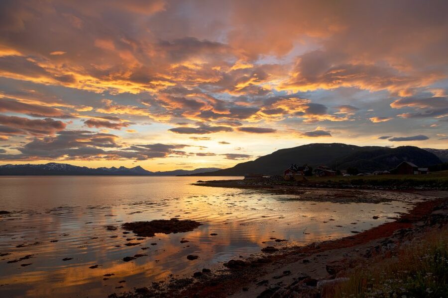 From Tromso: Norwegian Fjords Half-Day Tour - Five things to know before you go