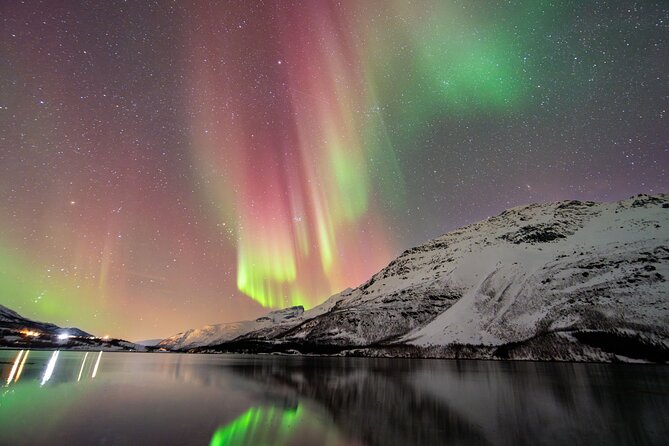 From Tromsø: OFFICIAL Northern Lights Safari by Minibus - Key points to know before booking