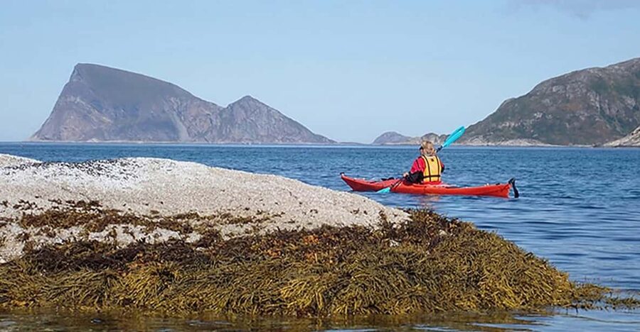 From Tromsø: Sea Kayaking Tour at Sommarøy with Transfer - Watching birds and marine life from the kayak