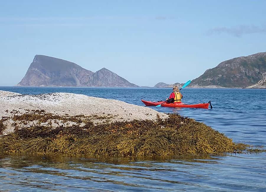 From Tromsø: Sea Kayaking Tour at Sommarøy with Transfer - One hour to explore Sommarøy’s fishing village