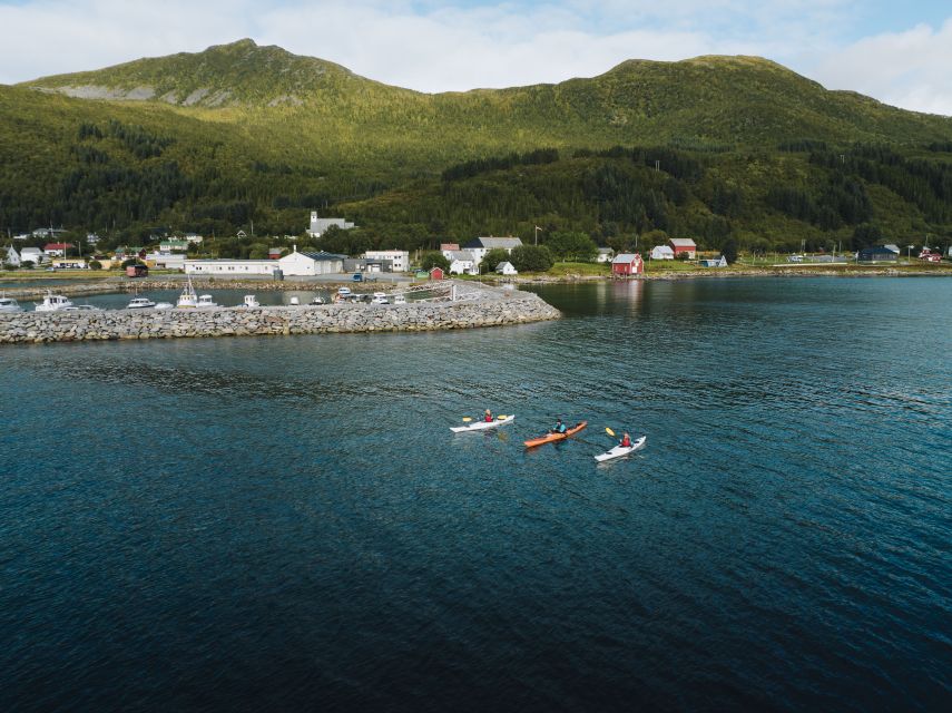 From Tromsø: Self-Guided Fjord Tour to Senja and Local Lunch - The return through Senja
