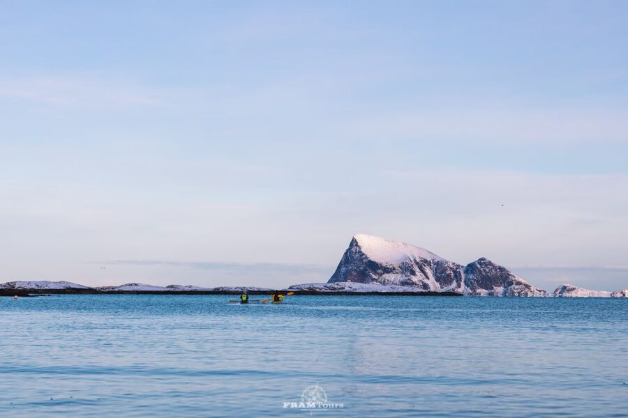 From Tromsø: Senja and Kvaløya Arctic Day Trip with Lunch - Is the $323 Price Fair?