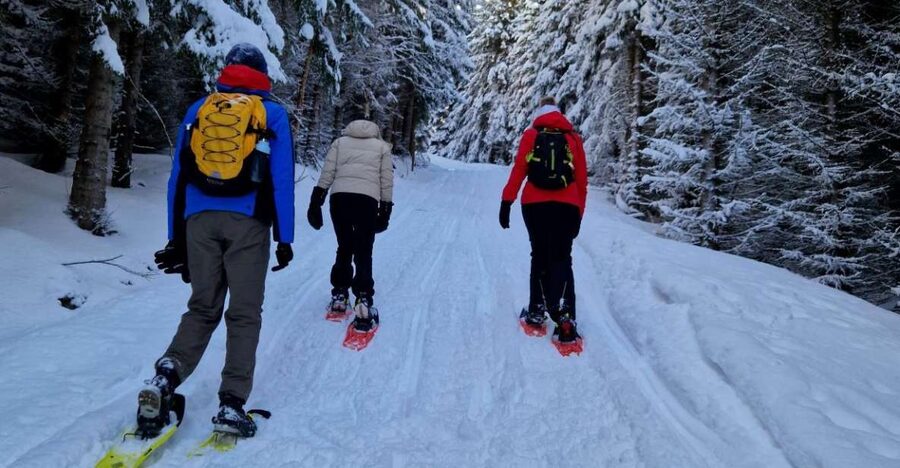 From Tromsø: Snowshoe Hike in the Arctic - Three hours among mountains and fjords