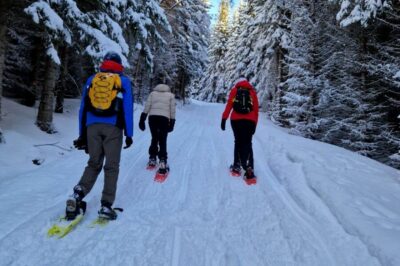 Snowshoe Hike in the Arctic
