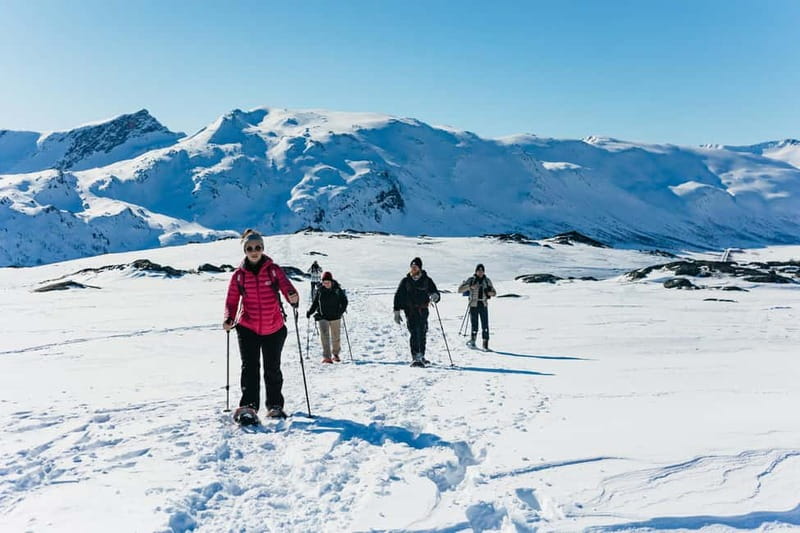 From Tromsø: Snowshoeing Hike with Picnic Lunch and Photos - Key points to know before you go