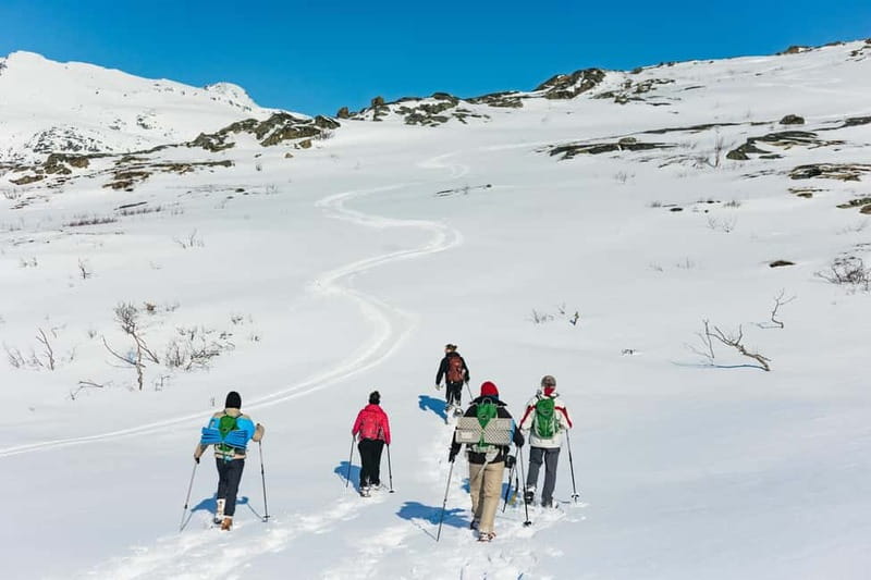 From Tromsø: Snowshoeing Hike with Picnic Lunch and Photos - A practical four-hour schedule