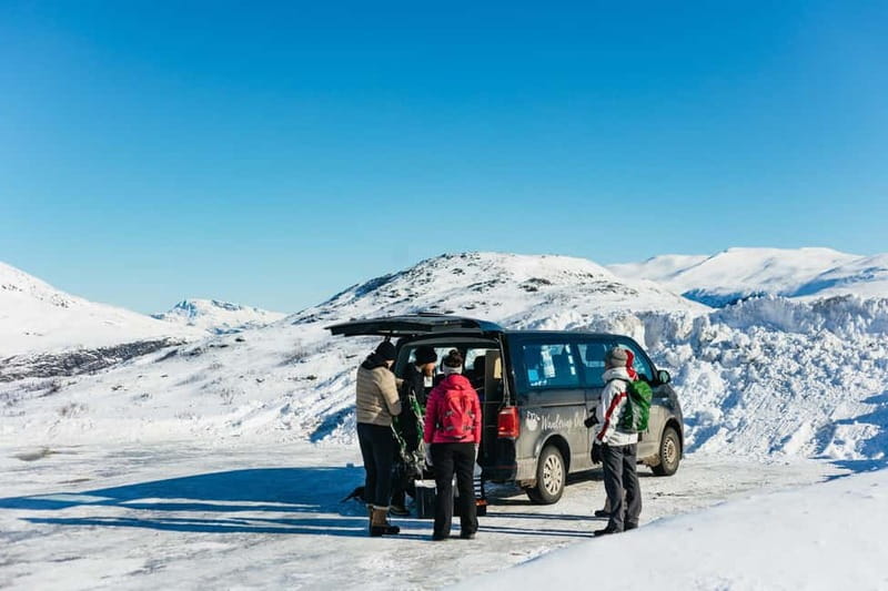From Tromsø: Snowshoeing Hike with Picnic Lunch and Photos - Looking for reindeer, eagles, ptarmigans, and hares