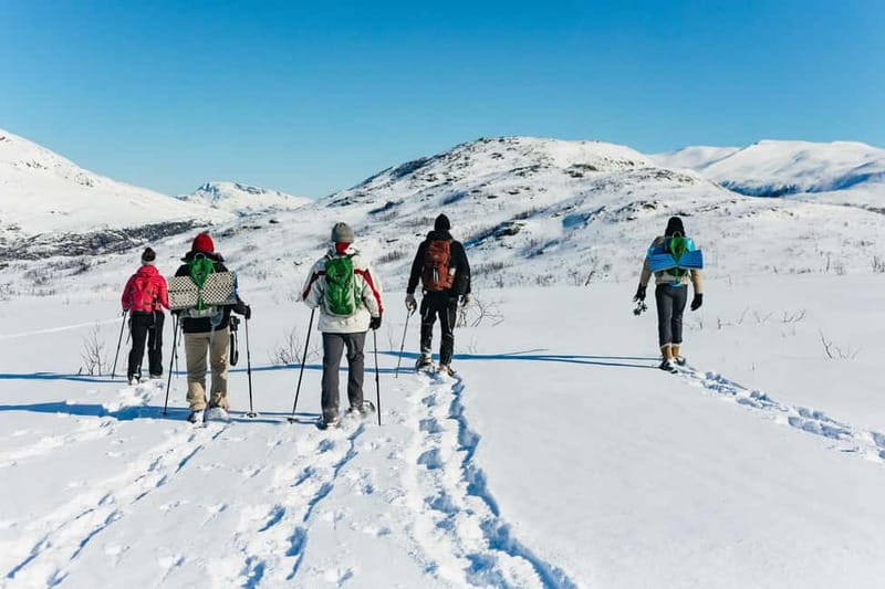 From Tromsø: Snowshoeing Hike with Picnic Lunch and Photos - Who will enjoy this Tromsø snowshoe outing?