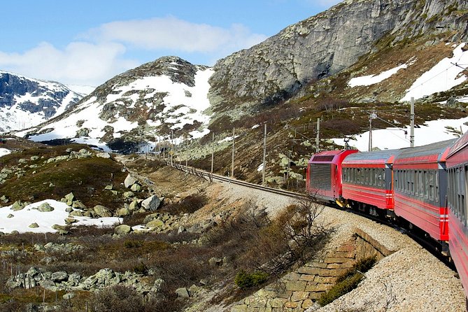 Full Day Guided Roundtrip From Bergen To Sognefjord With Flam Railway - Two hours in Flåm before the railway