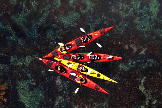Full Day Kayak-Northern Explorer - Key points at a glance