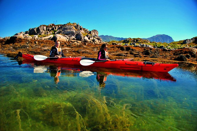 Full Day Kayak-Northern Explorer - Watching for sea eagles and other birds